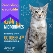 Cat Microbiomes (Recording available)