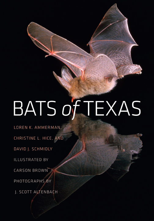  Bats of Texas - eBook Cover