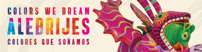 Colors We Dream Banner